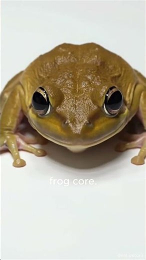 360 OOGA BOOGA BOOGA BOO