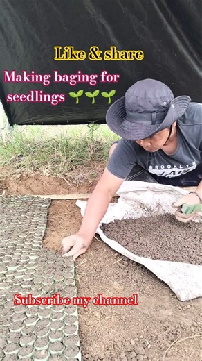 making baging for seedlings 🌱🌱🌱 #viralshort #bukidlife #tunaynabuhay