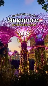 แจกแพลนเที่ยวสิงค์โปร์ 3 วัน 2 คืน 🇸🇬 อัพเดตครึ่งปีหลัง Part 1/2 แบบใหม่แบบไม่ซ้ำ บาร์ดี ที่พักปัง ของกินอร่อย!​ VisitSingapore #สิงคโปร์ #singapore #VisitSingapore #MadeInSingapore #PassionMadePossible ​#ไปกันนะ | ไปกันนะ : Pai Gun Na