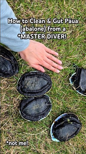 How to Clean & Gut Pāua (abalone) #shorts #freediving #kai #seafood #fisheatrepeat #nz