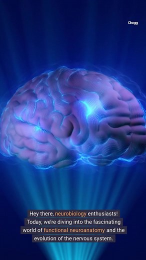 Exploring the Evolution of Neuroanatomy and Nervous System Function