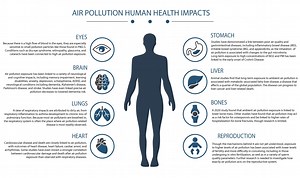 How does Air Pollution affect Human Health? | Clarity