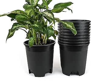1.5 Gallon Black Nursery Pot Plastic Planters for Outdoor Indoor Plants Gardening Flower Pots 10-Pack 7.5 in Pot Liners with Drainage Holes