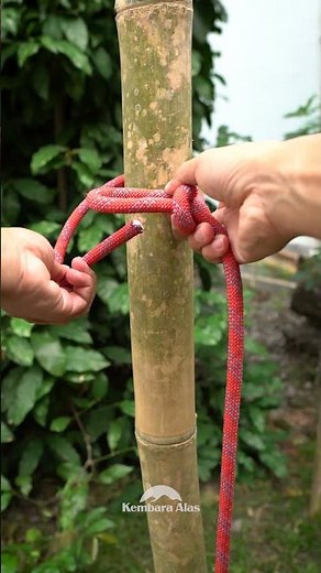 How to Tie a Bowline Knot in 30 Seconds – Easy! #knot #kembaraalas