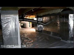 Wilmington Pest Control Jay Taylor Exterminating