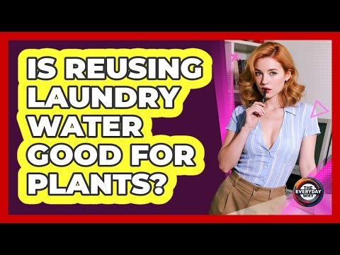 Is Reusing Laundry Water Good For Plants?