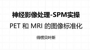 神经影像处理_SPM实操_PET和MRI的图像标准化