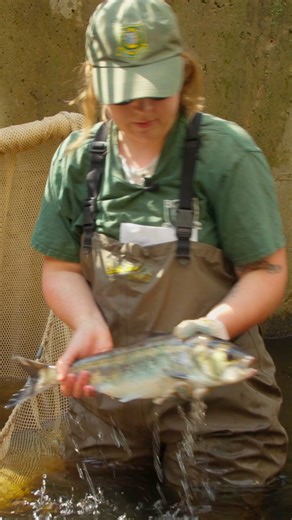 #outdoors #discoveryouroutdoors #wildlife #fish #NewHampshire | NH Fish and Game