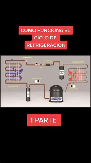 Sistema de Refrigeración: Funciones y Componentes Esenciales