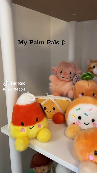 Creating a New Palm Pals Display