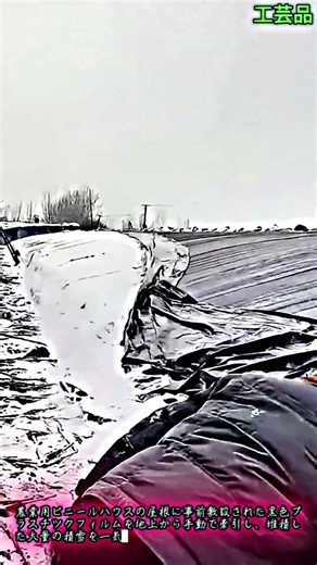 黒色プラスチックフィルムを活用した農業ハウス除雪施工技術 #crafts #system #agriculture #farmhack #snowclearance