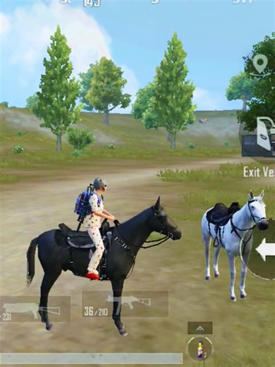 Kahan Ho Meri Bala: A PUBG Mobile Fun Moment