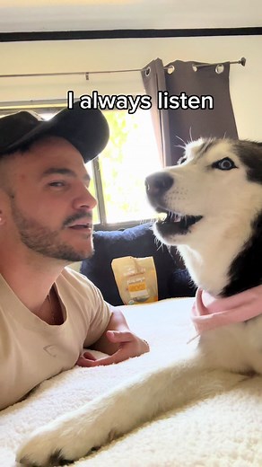 Husky Talking Back - Funny Argument with Husky