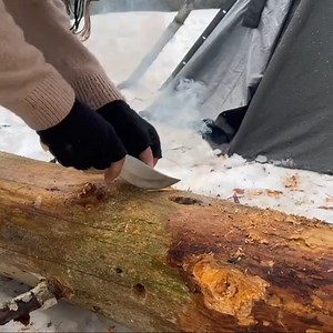 373K views · 7.3K reactions | Challenge to Survive in the forest | The Art of Film | Facebook