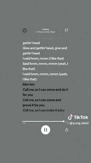Lil Wayne Lollipop Feat. Static Major Lyrics