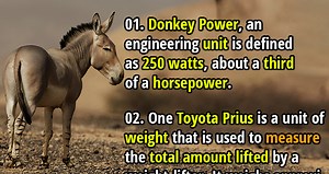 17 Strange and Wacky Units of Measurement - Fact Republic