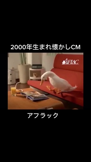 TikTokでこぬらいさんをチェック！