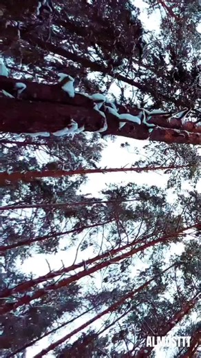 Exploring the Depths of Sad Vibes in Poetry