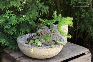 How To Make Hypertufa Planters