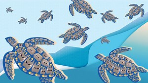 100 Days to #BeatPlasticPollution for #CleanSeas