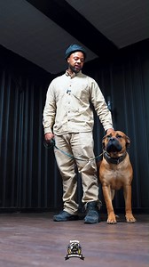 Say goodbye to separation anxiety. Conquer separation anxiety the Exotic Boerboel way.💯💪🏾 #wednesday #wednesdayvibes #feature #mastiff #dogs #boerboel #boerboelsofinstagram #southafricanboerboel #boerboels #boerboelpuppy #boerboellove #boerboelmastiff #boerboellife #boerboelmoments #boerboelfans #boerboelofinstagram #boerboelinstagram #boerboellovers #boerboellife🐾 #photooftheday #instaboerboel #instagood | Boerboel Breeders Ohio