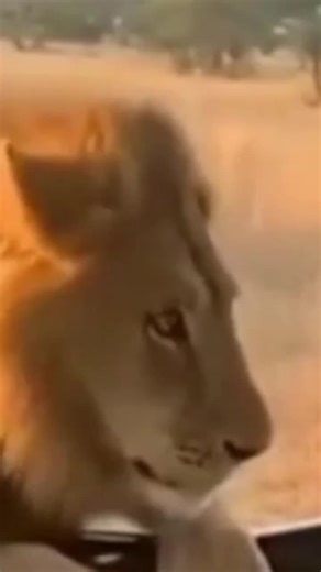 Devotha (@devotha0654)’s videos with original sound - Impimbarabarwanyi