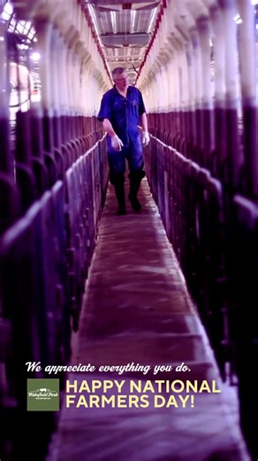 From the fields to the barns—here’s to every farmer. Thank you for all you do. #ThankAFarmer #TeamWPI #WakefieldPork #NationalFarmersDay | Wakefield Pork Inc.