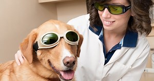Laser protection eyewear for animals | uvex