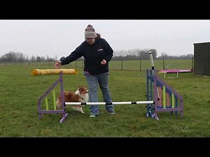 A-Z Agility: Jump Terminology