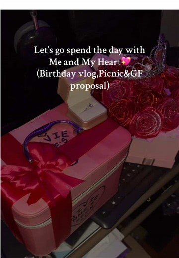 Birthday Picnic and Girlfriend Proposal Vlog