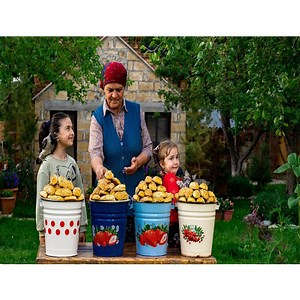 8.1K views · 442 reactions | Baking The Traditional Azerbaijani Sweets with Hazelnut . | ASIAN TESTY | Facebook