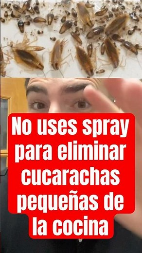 How can I eliminate small cockroaches in the kitchen?