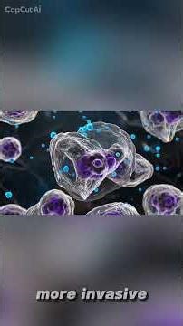 A Gum Disease Bacterium Travels Through Your Blood To Your Breast Tissue And Triples Tumor Growth