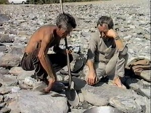 4.5M views · 10K reactions | Some great gold panning tips by professional Des Gavin on the 7th of March 1986. From The South Tonight with Mike Lynch interviewing. Filmed in Arrowtown in 1986, New Zealand. Digitised Dwayne Carey Collection. | Southland's Past -Te Wāmua o Murihiku | Facebook
