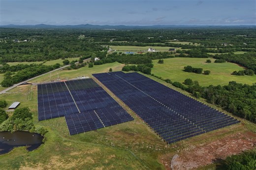 Solar ranch in Tennessee aims to prove grazing cattle under the panels is a farmland win-win