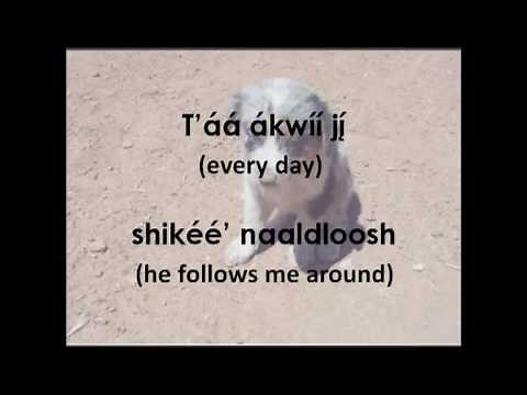 Navajo Puppy Song (Lyrics & Translation)