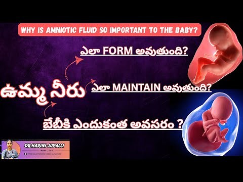HOW AMNIOTIC FLUID IS FORMED,AND MAINTAINED ? WHY IS IT SO IMPORTANT TO THE BABY?