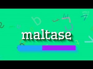 MALTASE - How to pronounce Maltase?