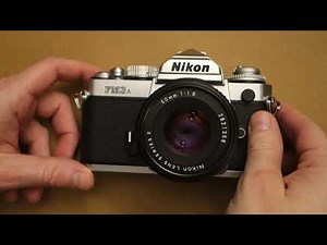 Nikon FM3a + Portra 400 + Portra 160 + Miami + Negative Lab Pro