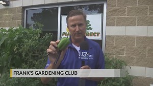 How to harvest peppers and plant fall peppers