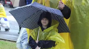 19 reactions · 17 comments | Despite the wet weather Justin Fletcher fans were out in force for LEGOLAND Live last Saturday. Our family music festival featured a top line up of children’s acts including CBeebies favourite Zingzillas, Fifi and the Flowertots, Postman Pat and Roary the Racing Car. Did you go to LEGOLAND Live? Who was your favourite performer? | Official LEGOLAND Windsor | Facebook