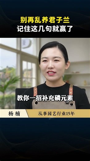 Master the Art of Cymbidium Cultivation - Essential Tips Unveiled