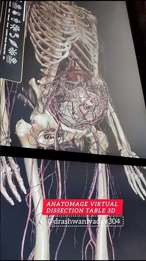 Explore 3D Human Body! Digital Dissection Secrets! 3D Dissection Revolution!#anatomy #3d#human#short