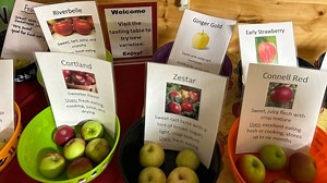 Seasonal delights at Everflow Farm: Apples, pumpkins, hayrides, homemade treats