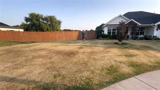 The one method that always brings my grass back to life