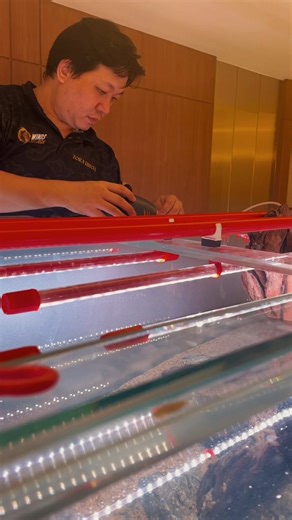 Hendra Gandhi MD | Setting up a discus aquarium — a collaboration between Rumah Mayin Indonesia, Jamm Vlog, and Zora Discus. We hope this becomes a... | Instagram