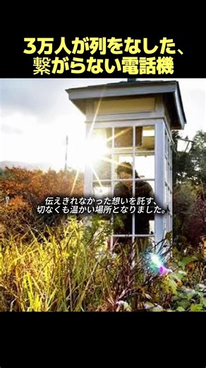 3万人が列をなした、繋がらない電話機