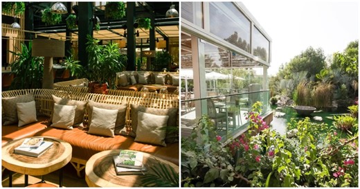 8 of the best garden cafés in Dubai for nature, coffee, and cool interiors