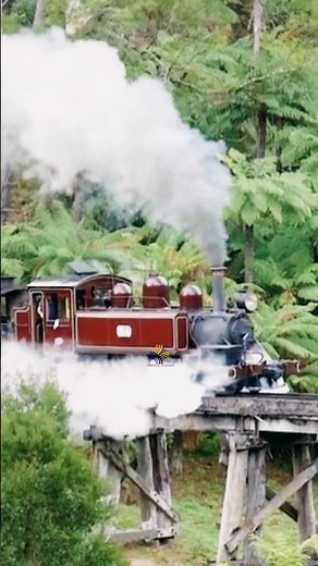 The Worst Steam Locomotive Disaster Ever 🚂💥 | The True Horror Catastrophe | Central Station #shorts