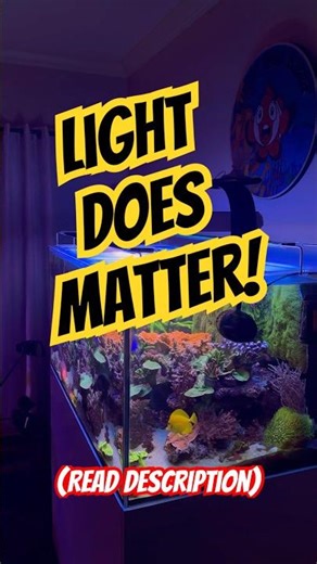 Growing SPS corals under T5 lighting